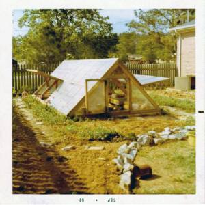 1069140_10151793653433410_1120628792_n