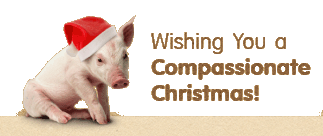 compassionate-christmas