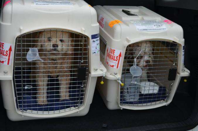 60806_10151871421913410_515350525_n